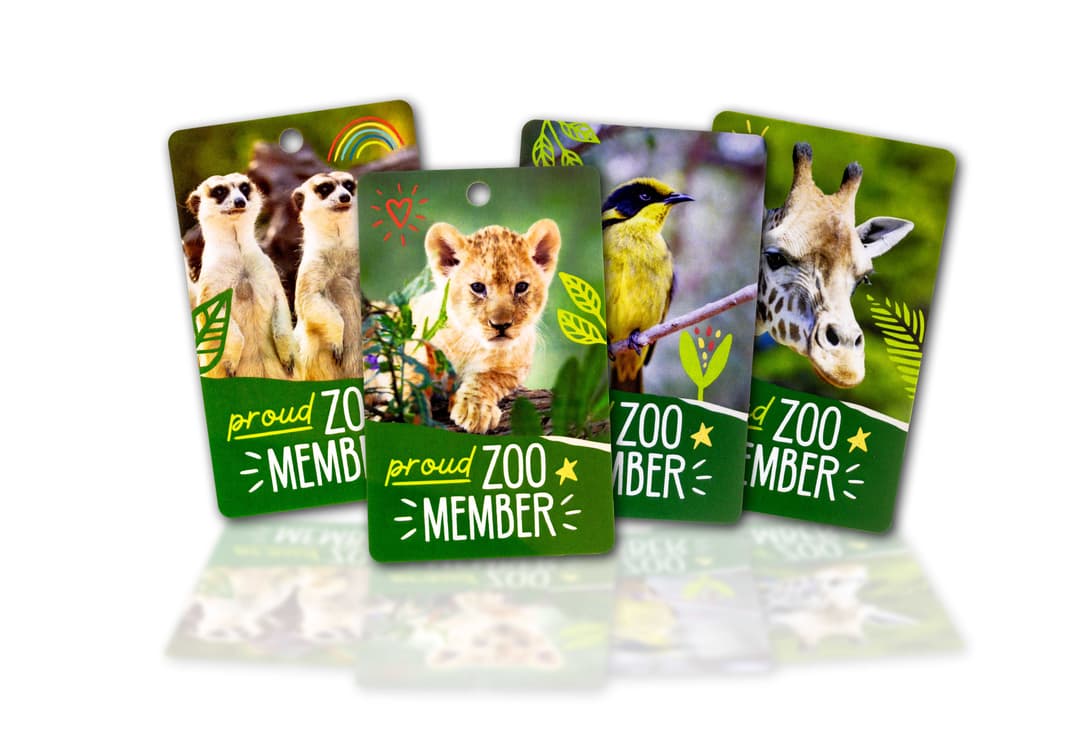 DMCentral sample direct mail and card products