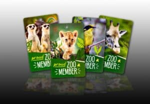 Direct Mail Campaigns